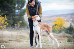 Perro en Centro Canino Canbezuelos, Navarra por Yon Garin