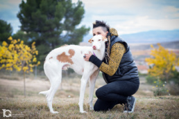 Perro en Centro Canino Canbezuelos, Navarra por Yon Garin