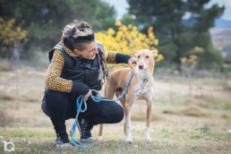 Perro en Centro Canino Canbezuelos, Navarra por Yon Garin