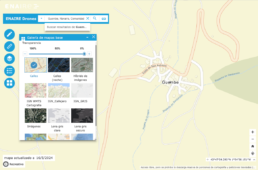 Vista de Guembe en la web de Enaire