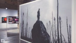Fotograf&iacute;as de la exposici&oacute;n World Press Photo 2024 en Gasteiz