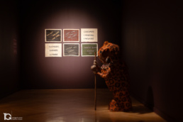 Exposición Somos raíces de Santiago Yahuarcani y Nereyda López en el Círculo de Bellas Artes durante PHotoESPAÑA 2025