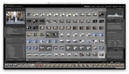 Vista de miniaturas en Lightroom del reportaje de boda de Lydia y David en Pamplona