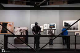 Visitante consultando libros en la exposici&oacute;n 14 millones de ojos.