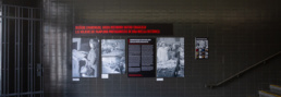 Exposición fotográfica en mercado del Ensanche