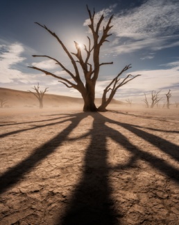 Deadvlei, Namib-Naukluft Parque, Namibia