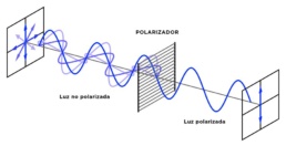 ¿Cómo funciona un filtro polarizador?