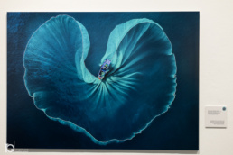 World Food Photography Awards 2026 en Centro Cultural Montehermoso Kulturunea